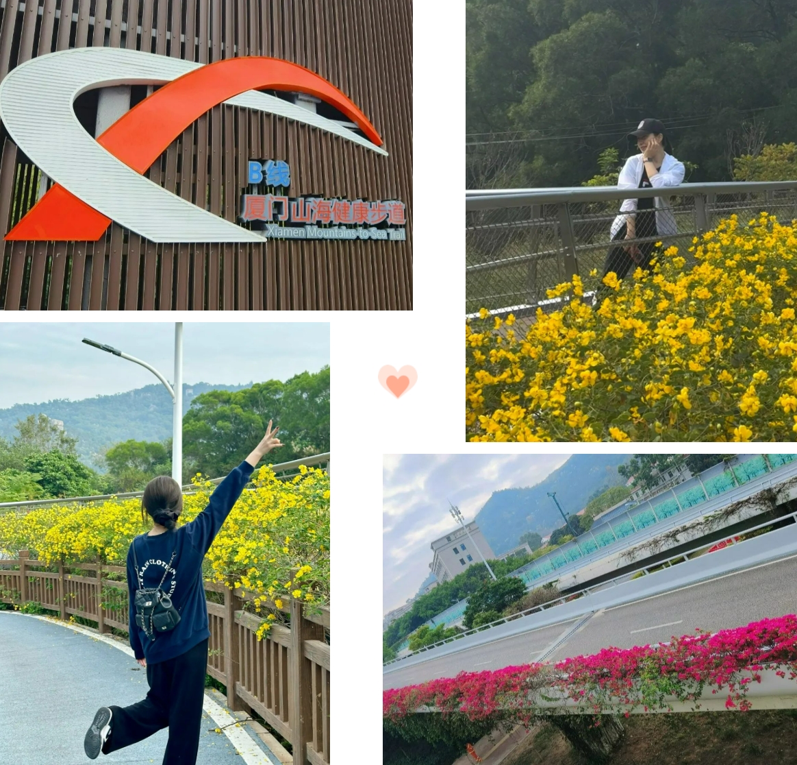 微信截圖_20231211141250.png 微信截圖_20231211141250.png