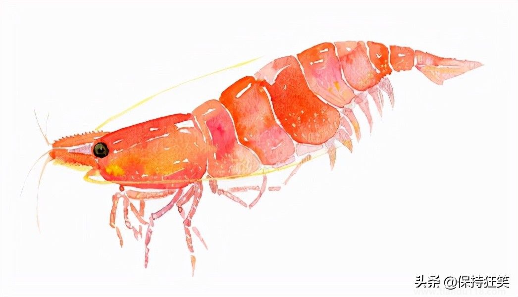 臺(tái)灣十大特產(chǎn)排行榜 臺(tái)灣特產(chǎn)什么最出名 來臺(tái)旅游值得帶的伴手禮