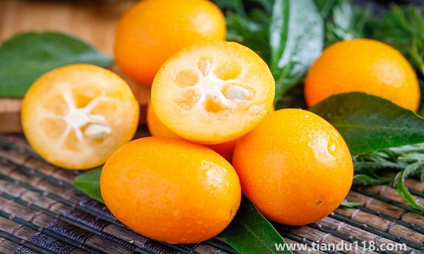 湖南省長沙市十大特產(chǎn)有哪些