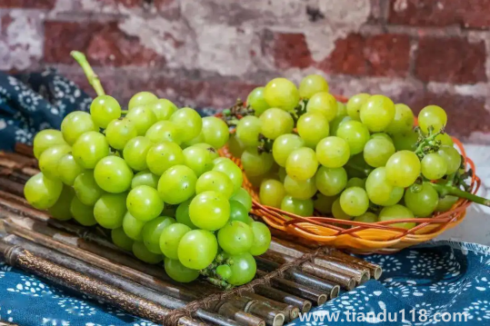 陽(yáng)光玫瑰葡萄無(wú)籽是打了避孕藥嗎3