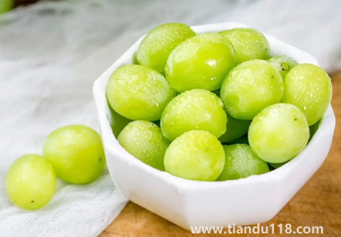 陽(yáng)光玫瑰葡萄和晴王葡萄是一個(gè)品種嗎3