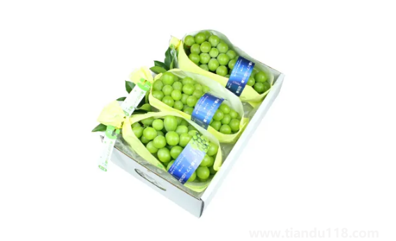 陽光玫瑰是晴王葡萄嗎2