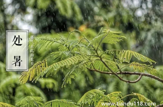 2022年處暑是農(nóng)歷哪一天星期幾（處暑什么養(yǎng)生）