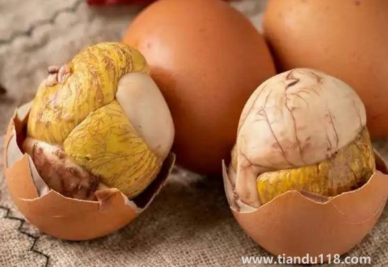 活珠子男人吃了補(bǔ)身體嗎3