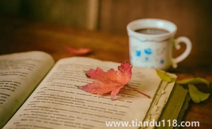 2022年專升本是大二考還是大三考（如何準備專升本考試）