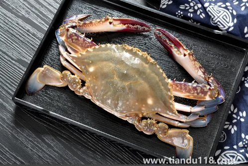 梭子蟹蒸出來為什么是空的（梭子蟹不能和什么一起吃）