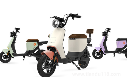 為什么小偷不偷雅迪電動(dòng)車（雅迪電瓶車被偷了沒買保險(xiǎn)怎么辦）