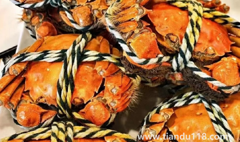 2022陽澄湖大閘蟹中秋節(jié)能吃到嗎（陽澄湖大閘蟹在哪里買最正宗）