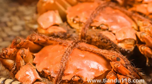 2022陽(yáng)澄湖大閘蟹中秋節(jié)能吃到嗎3