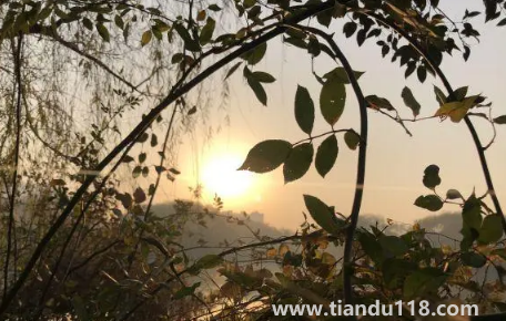 2022年重陽(yáng)節(jié)天氣冷嗎3