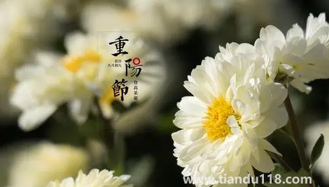 2022年學校重陽節(jié)什么時候開始放假（2022年重陽節(jié)是公歷幾月幾日）