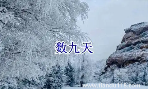 2022數(shù)九從哪一天開始到哪一天結(jié)束1