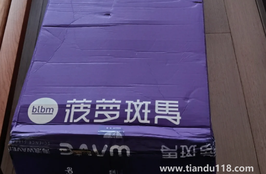 藍(lán)盒子和菠蘿斑馬哪個(gè)好2