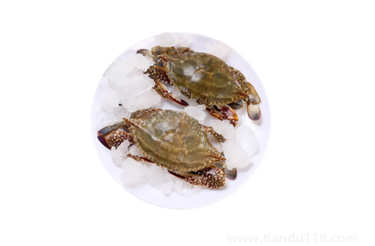 昨天買的梭子蟹今天不動(dòng)了能吃嗎（活的梭子蟹怎么保存）