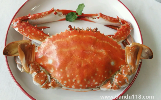 梭子蟹蟹黃在外面正常嗎（梭子蟹的蟹黃在外面能吃嗎）