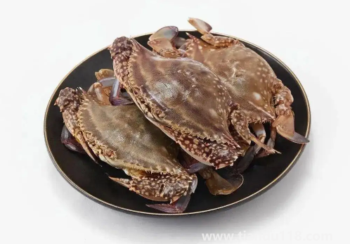 梭子蟹哪種有蟹黃2