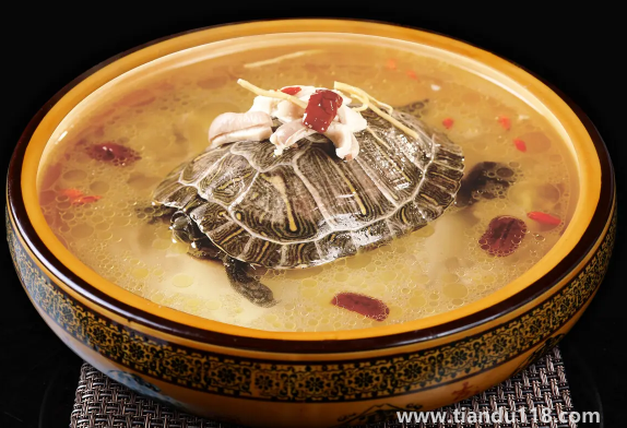 甲魚湯怎么做好喝又營養(yǎng)(甲魚湯的功效與作用)(圖3) 甲魚湯怎么做好喝又營養(yǎng)3