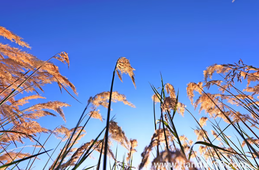 2022國(guó)慶節(jié)會(huì)有冷空氣嗎（國(guó)慶節(jié)天氣怎么樣）