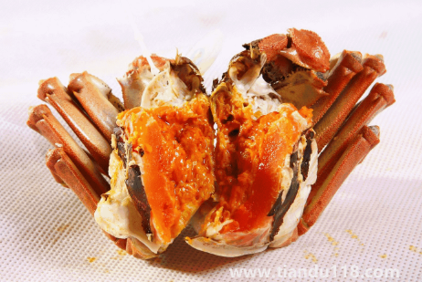 清水煮螃蟹煮5分鐘能吃嗎2