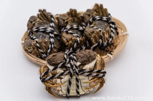 梭子蟹和大閘蟹哪個(gè)膽固醇高2