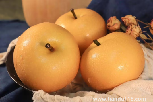 秋月梨和豐水梨哪個好吃(吃梨的注意事項)(圖3) 秋月梨和豐水梨哪個好吃3