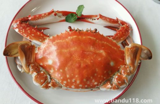 青蟹和梭子蟹哪個更寒（青蟹和梭子蟹哪個好吃）