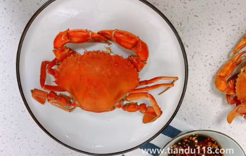 青蟹和梭子蟹哪個更好吃（青蟹和梭子蟹哪個貴）