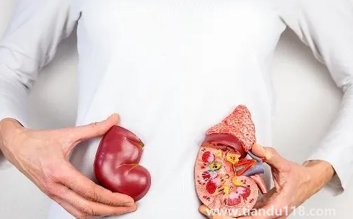 止痛藥吃多了會(huì)導(dǎo)致腎衰竭嗎（腎衰竭怎么引起來的）