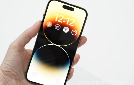 iPhone14ProMax成預(yù)售冠軍嗎（如何看待iPhone14ProMax成預(yù)售冠軍）