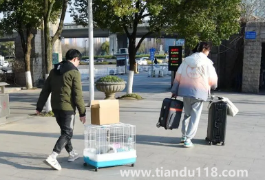 2023年春節(jié)假期會延長嗎1