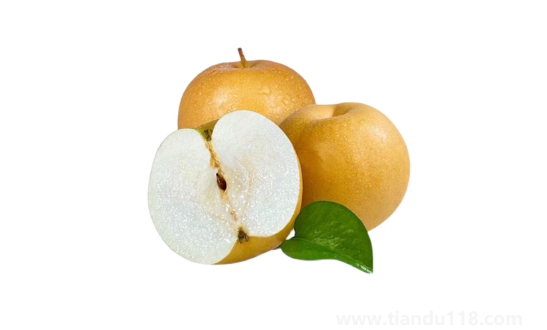 秋月梨是常溫保存還是冷藏保存(吃秋月梨的好處)(圖3) 秋月梨是常溫保存還是冷藏保存3