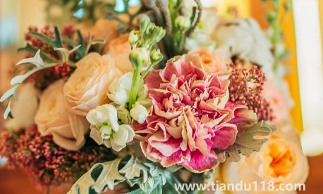 結(jié)婚不過百天不能送親2