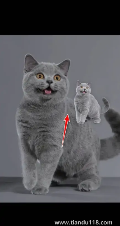 ios16摳圖可以放到哪里5