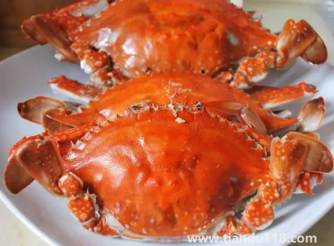 吃了螃蟹又吃了柿子怎么辦(柿子和螃蟹一起吃會怎么樣)(圖3) 吃了螃蟹又吃了柿子怎么辦3