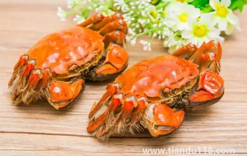 吃了螃蟹又吃了柿子怎么辦（柿子和螃蟹一起吃會(huì)怎么樣）