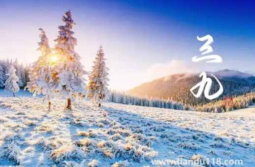 2023年三九天的起止時間（三九天要吃什么）