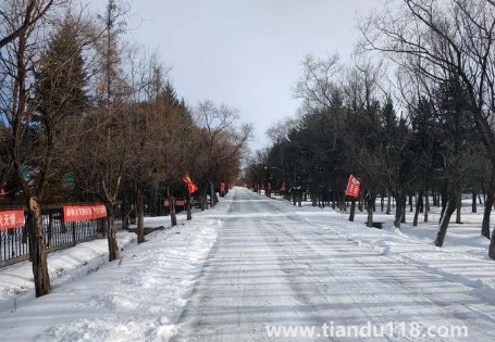 2023年哈爾濱1月份會(huì)下雪嗎(1月份去哈爾濱穿什么合適)(圖3) 2023年哈爾濱1月份會(huì)下雪嗎3