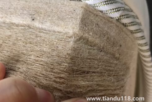 黃麻床墊可以暴曬嗎(床墊選擇注意事項)(圖2) 黃麻床墊可以暴曬嗎2