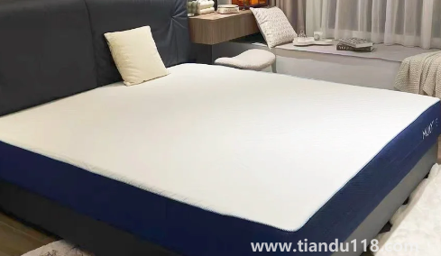 椰棕會(huì)不會(huì)生蟲(chóng)子1