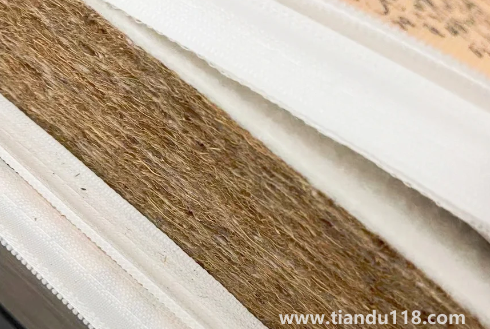 椰棕會(huì)不會(huì)生蟲(chóng)子2