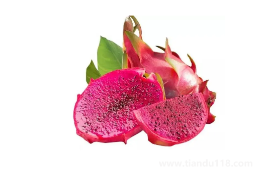 火龍果加熱后會(huì)變色嗎3