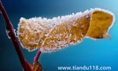 2022年霜降會(huì)提前嗎2