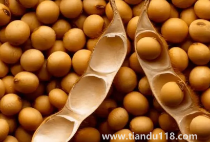 大豆被和蠶絲被哪個適合孩子3