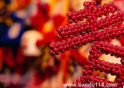 門對(duì)門掛中國(guó)結(jié)可以掛門上嗎 2