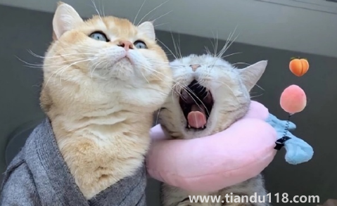 為什么戀愛長跑會容易分手1