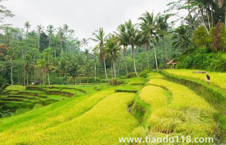 2023年閏二月算農(nóng)歷三月嗎（閏二月有什么民間說法）