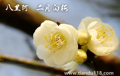 2022年閏二月冷不冷2