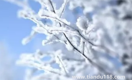 2022年小雪節(jié)氣艾灸有什么好處3