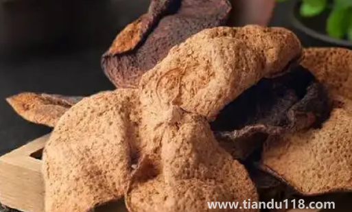 陳皮是幽門螺旋桿菌的克星嗎（陳皮泡水養(yǎng)胃還是傷胃）