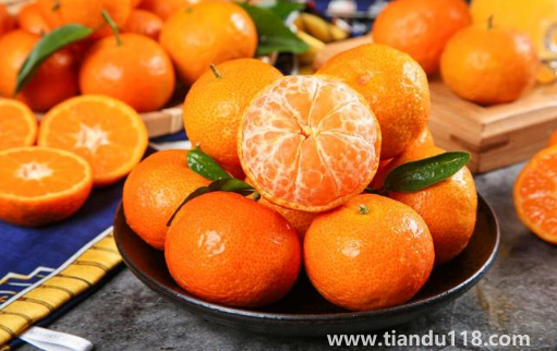 砂糖橘和橙子哪個(gè)vc含量高一些（砂糖橘和橙子可以一起吃嗎）